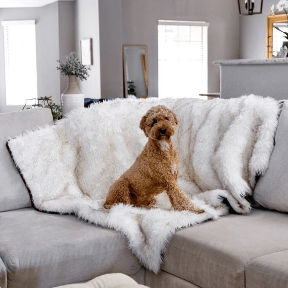 NEW PAW.com PupProtector™ Waterproof Throw Blanket - Picture 1 of 11
